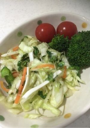 子どももモリモリコンソメ野菜サラダ-レシピのメイン写真