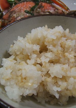 こんにゃく入り玄米ごはん-レシピのメイン写真