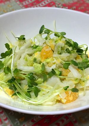 白菜と夏みかんの爽やかコールスロー-レシピのメイン写真