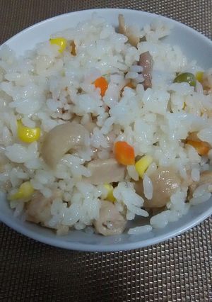 鶏皮しょうがご飯-レシピのメイン写真