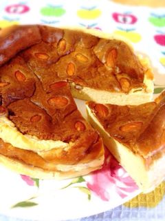 お砂糖なし。ゴルゴンゾーラチーズケーキ-レシピのメイン写真
