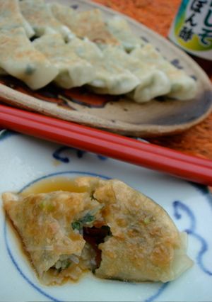 青じその風味を生かしたあっさり餃子-レシピのメイン写真