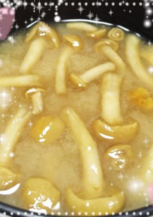 基本☆味噌汁-レシピのメイン写真