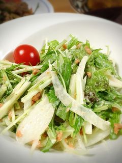 水菜と鮭フレークのサラダ-レシピのメイン写真