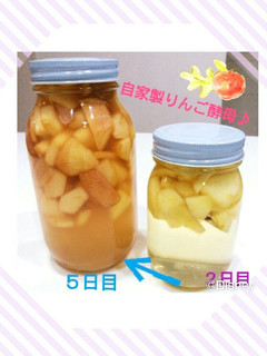 自家製フルーツ天然酵母液♪-レシピのメイン写真