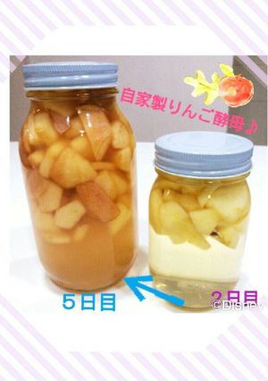 自家製ﾌﾙｰﾂ天然酵母液♪-レシピのメイン写真