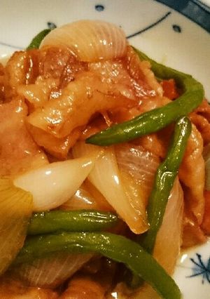 ご飯が進む‼豚バラと新玉ねぎの煮物-レシピのメイン写真