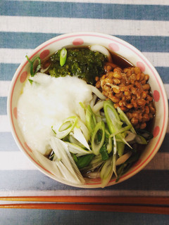 三色ネバネバうどん♪-レシピのメイン写真