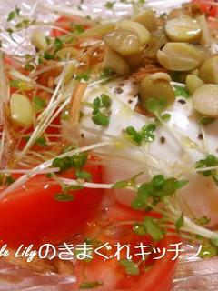 まるごとモッツアレラのサラダ-レシピのメイン写真