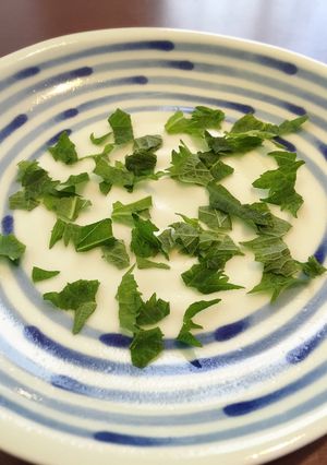 大葉の簡単なちぎり方-レシピのメイン写真