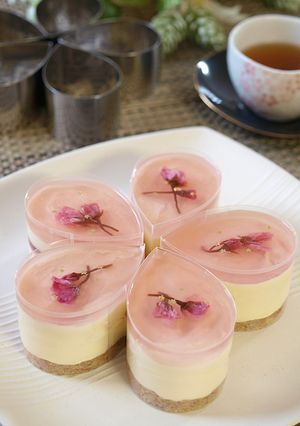 桜ホワイトレアチーズ-レシピのメイン写真
