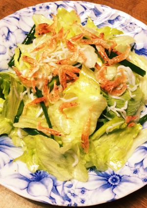 和サラダ〜桜海老を添えて〜-レシピのメイン写真