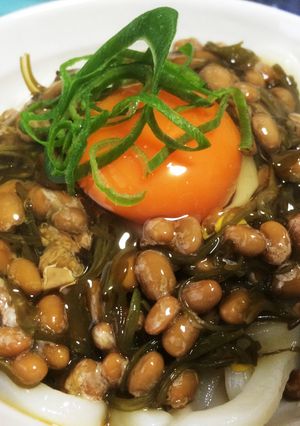 ネバネバ三昧うどん-レシピのメイン写真