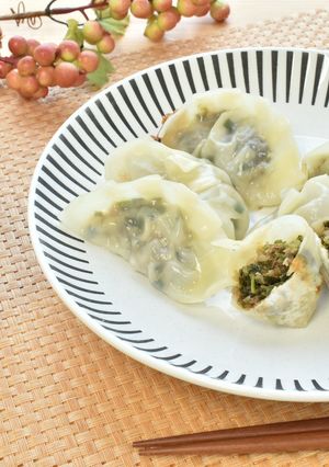 あおさのりの餃子-レシピのメイン写真