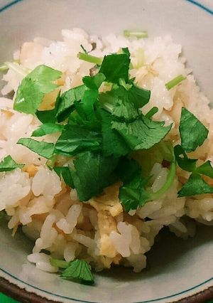 松茸もどきご飯-レシピのメイン写真