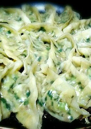 鯖缶でヘルシー鯖餃子-レシピのメイン写真