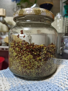 河原のからし菜から手作り粒マスタード-レシピのメイン写真