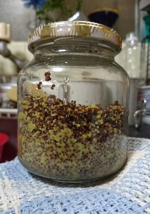河原のからし菜から手作り粒マスタード-レシピのメイン写真