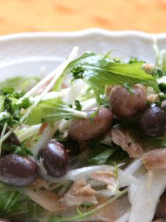 豆とツナのサラダ-レシピのメイン写真