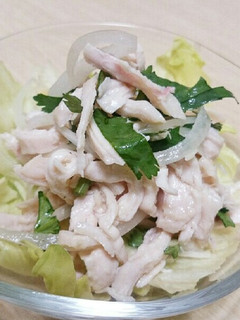 鶏むね肉とパクチーのタイ風サラダ-レシピのメイン写真