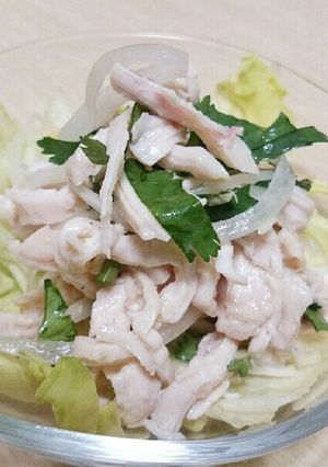 鶏むね肉とパクチーのタイ風サラダ-レシピのメイン写真
