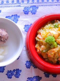 *いぬごはん* 鮭ごはん&小豆茶巾しぼり-レシピのメイン写真