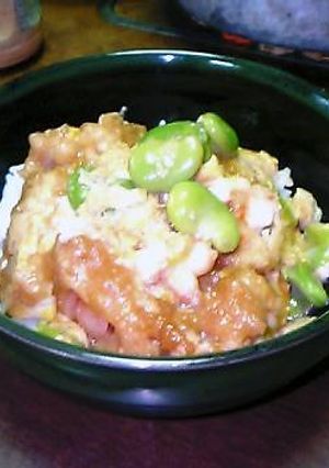 ◆めっちゃ簡単☆残り物利用の天とじ丼♪◆-レシピのメイン写真