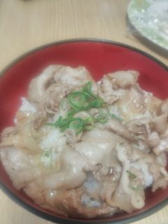 油入らず簡単 豚丼-レシピのメイン写真