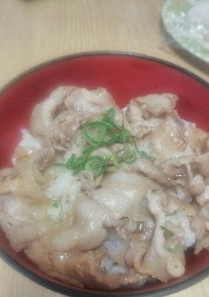 油入らず簡単 豚丼-レシピのメイン写真