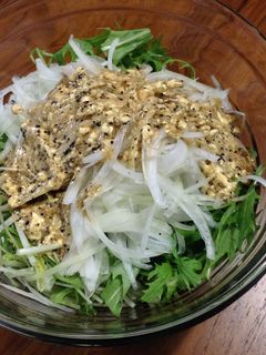 ☆玉ねぎと水菜のシャキシャキサラダ-レシピのメイン写真