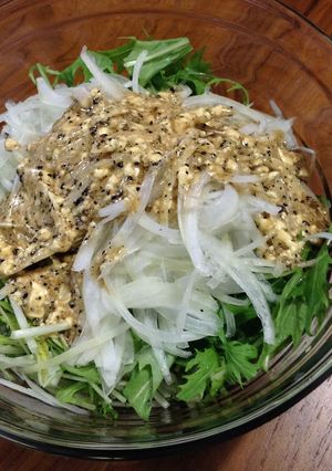 ☆玉ねぎと水菜のシャキシャキサラダ-レシピのメイン写真