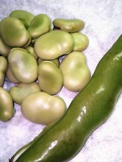 ◆めっちゃ簡単☆そら豆の茹で方◆-レシピのメイン写真
