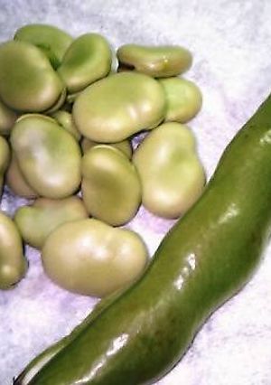 ◆めっちゃ簡単☆そら豆の茹で方◆-レシピのメイン写真