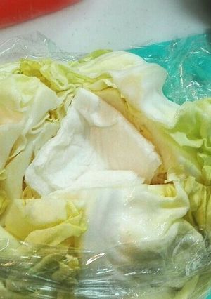 キャベツの超保存!-レシピのメイン写真