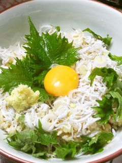 釜揚げしらす丼:シンプルな基本のスタイル-レシピのメイン写真