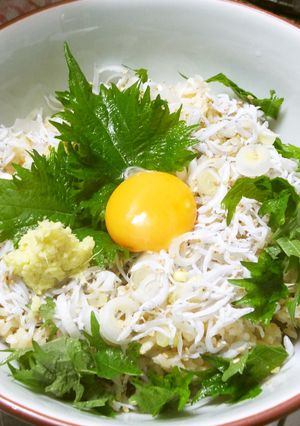 釜揚げしらす丼：シンプルな基本のスタイル-レシピのメイン写真