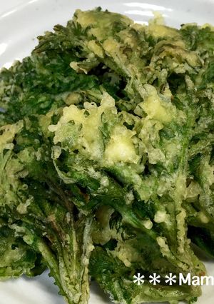 簡単‼春菊の天ぷら-レシピのメイン写真