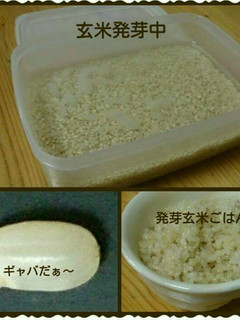 美味しい玄米の炊き方-レシピのメイン写真