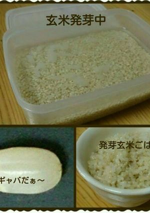 美味しい玄米の炊き方-レシピのメイン写真