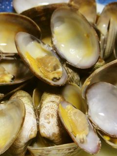 あさりのバター蒸し-レシピのメイン写真