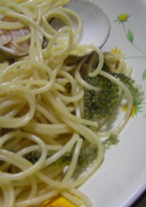 蛤と海ぶどうの酔っぱらいパスタ-レシピのメイン写真