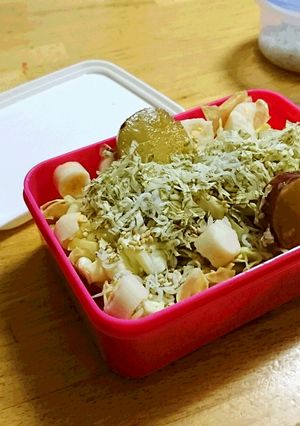 キャベツ居酒屋お通し風サラダ弁当-レシピのメイン写真