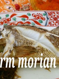 うまみ極だつ 魚のマース煮-レシピのメイン写真