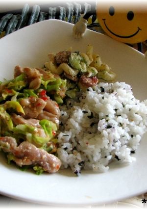 甘辛チキンでサラダご飯-レシピのメイン写真