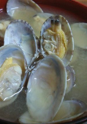 あさりの味噌汁-レシピのメイン写真