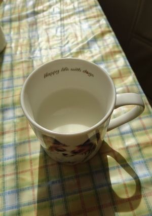 ホットミルクに練乳-レシピのメイン写真