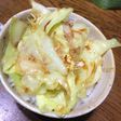 キャベツ丼
