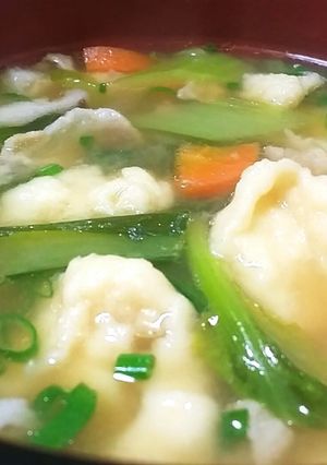 お野菜たっぷり水とん～⤴-レシピのメイン写真