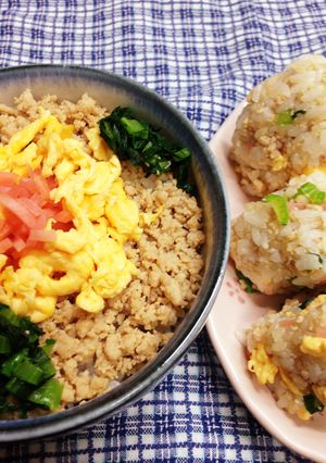 鶏そぼろのカラフル丼&おにぎり-レシピのメイン写真
