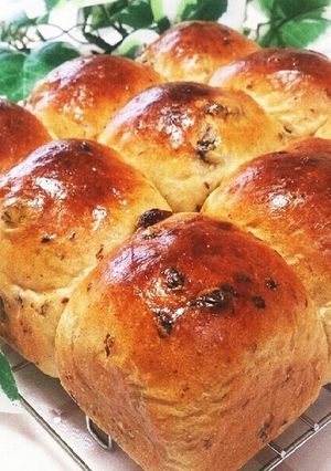 レーズン好きのレーズンちぎりパン-レシピのメイン写真